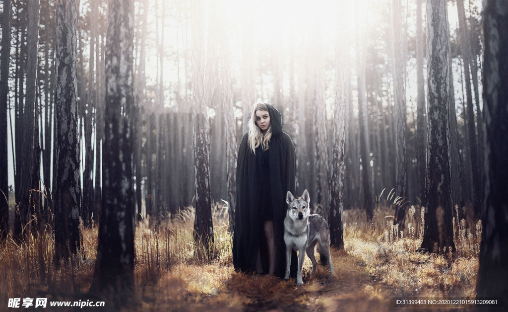 动物 宠物 狗 猫