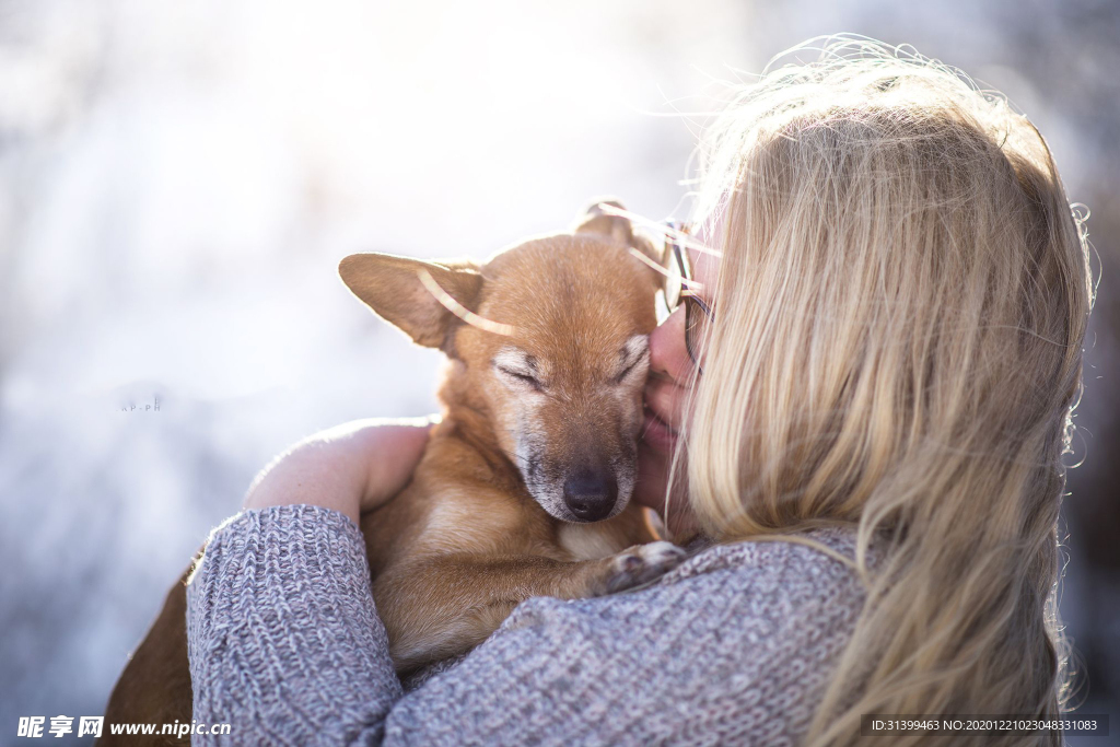 动物 宠物 狗 猫