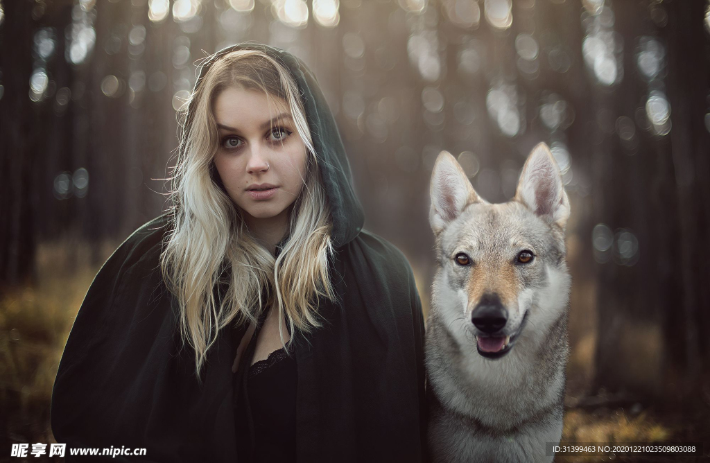 动物 宠物 狗 猫