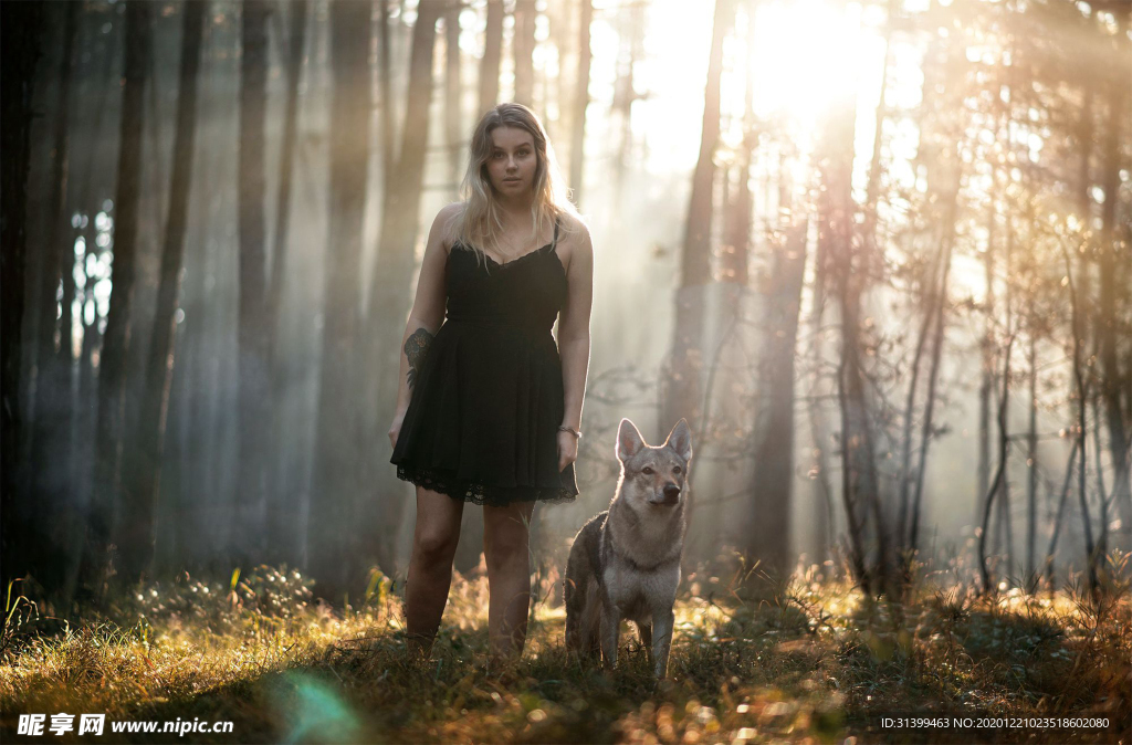 动物 宠物 狗 猫