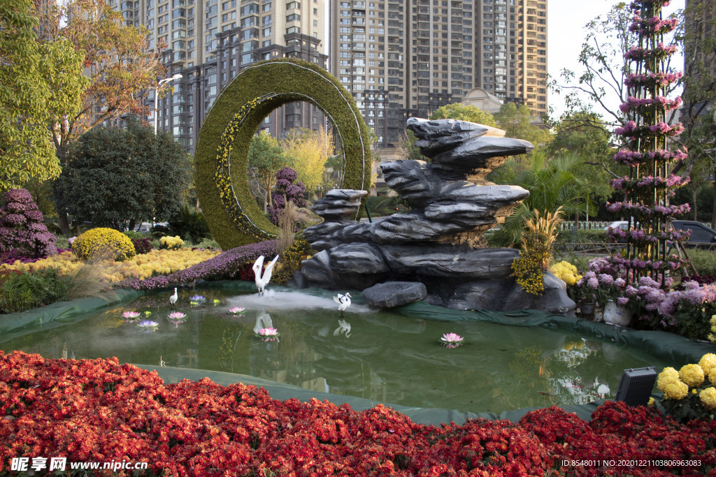 武汉沙湖公园菊展