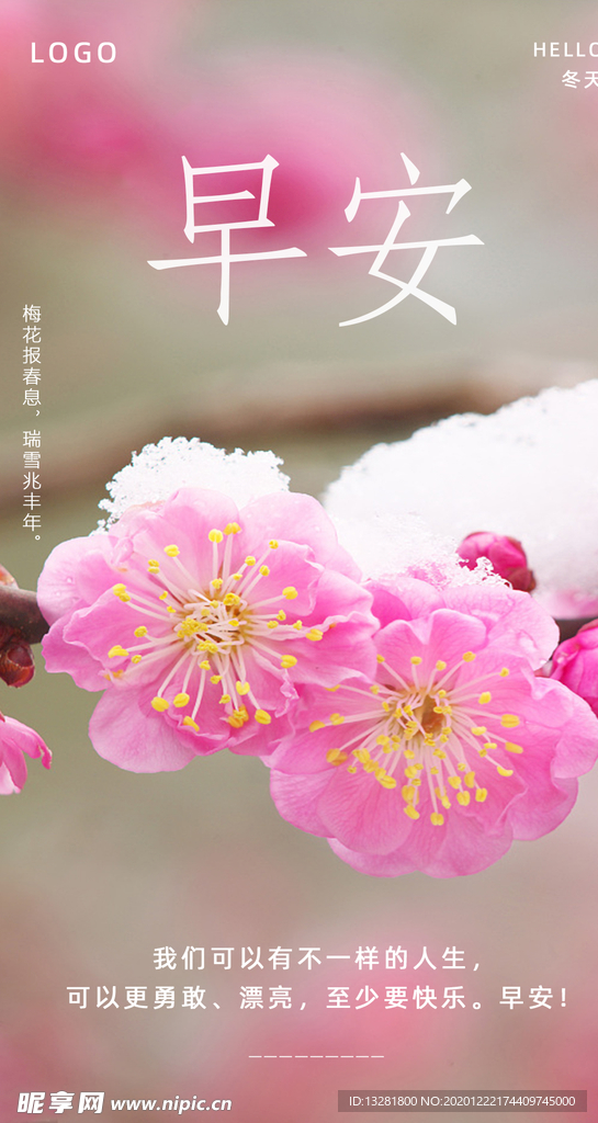 早安海报 梅花 问候海报