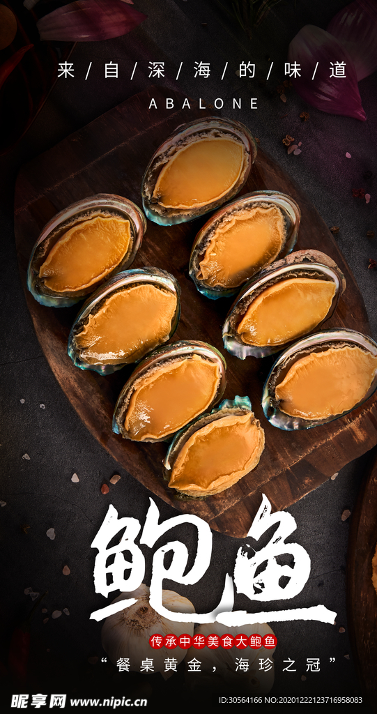 鲍鱼美食宣传活动海报素材