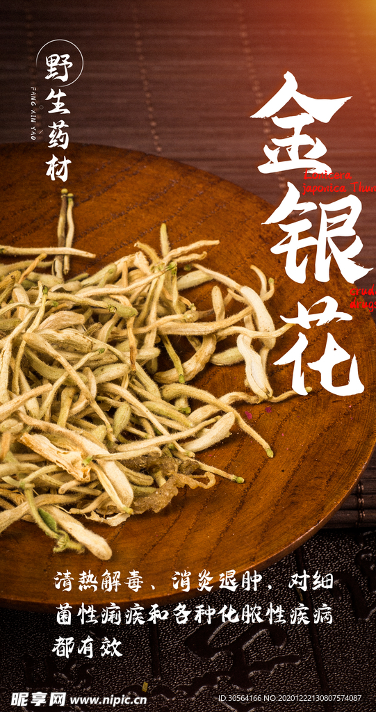 金银花饮品宣传活动海报素材