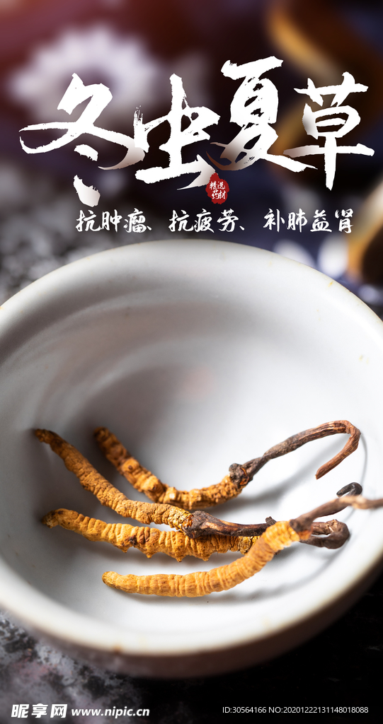 冬虫夏草养生宣传活动海报素材
