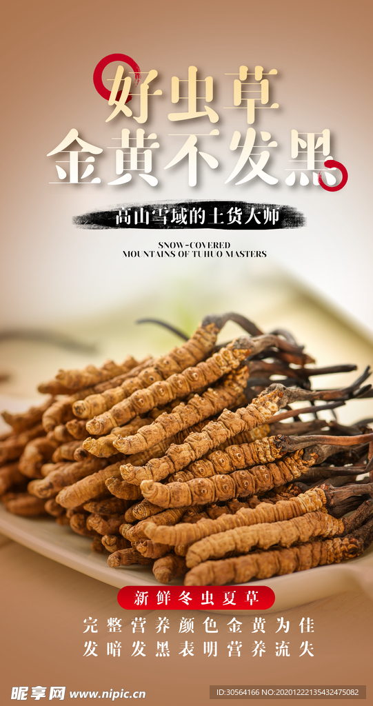 虫草养生宣传活动海报素材