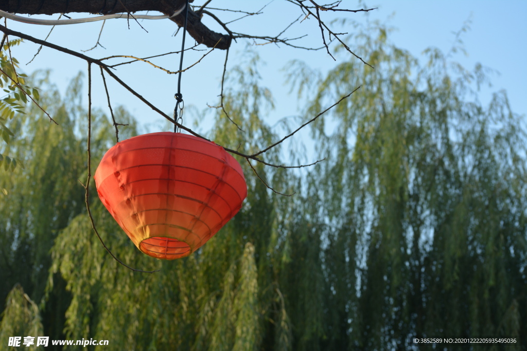 喜庆节日红灯笼