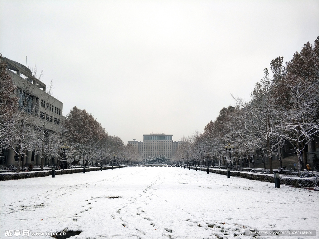 清华雪景