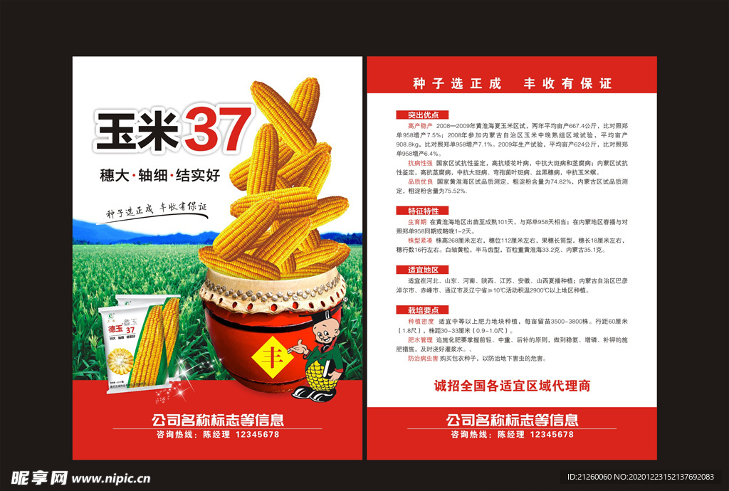 玉米单页
