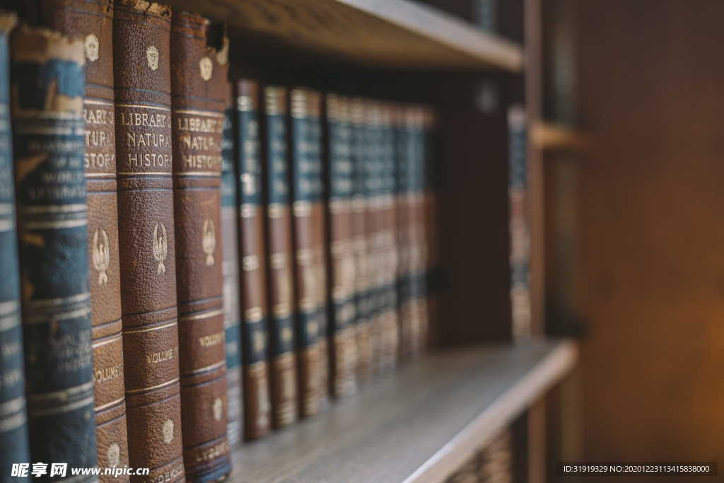 棕色 精装 书很多 书 书架