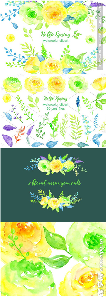 花型设计春季水彩花卉手绘