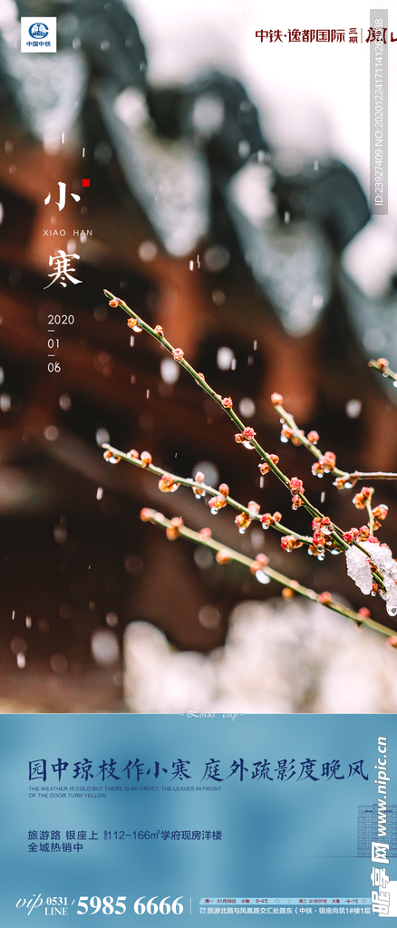 小寒海报