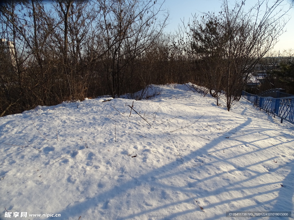 冬雪阳光