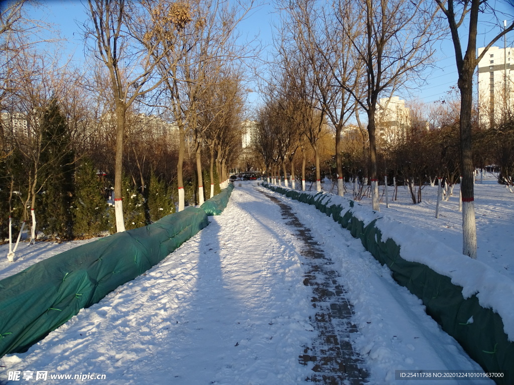 公园小路上的雪景