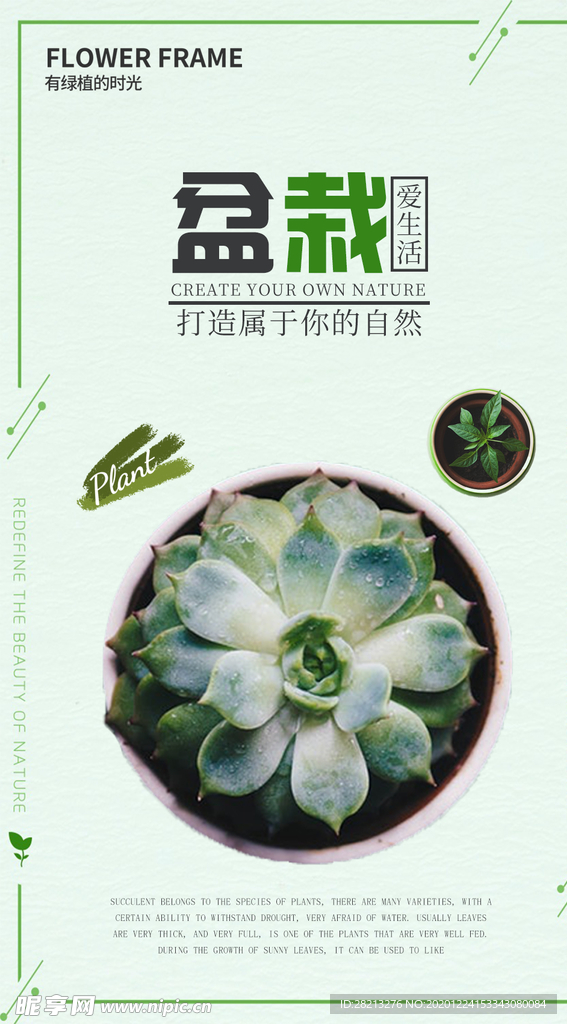 盆栽多肉素材