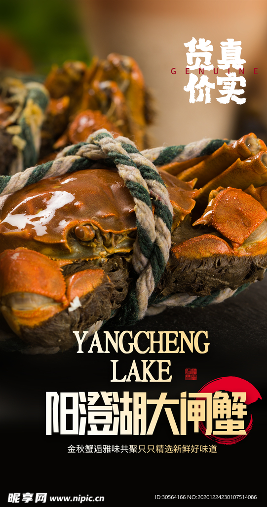 大闸蟹美食食材活动宣传海报素材