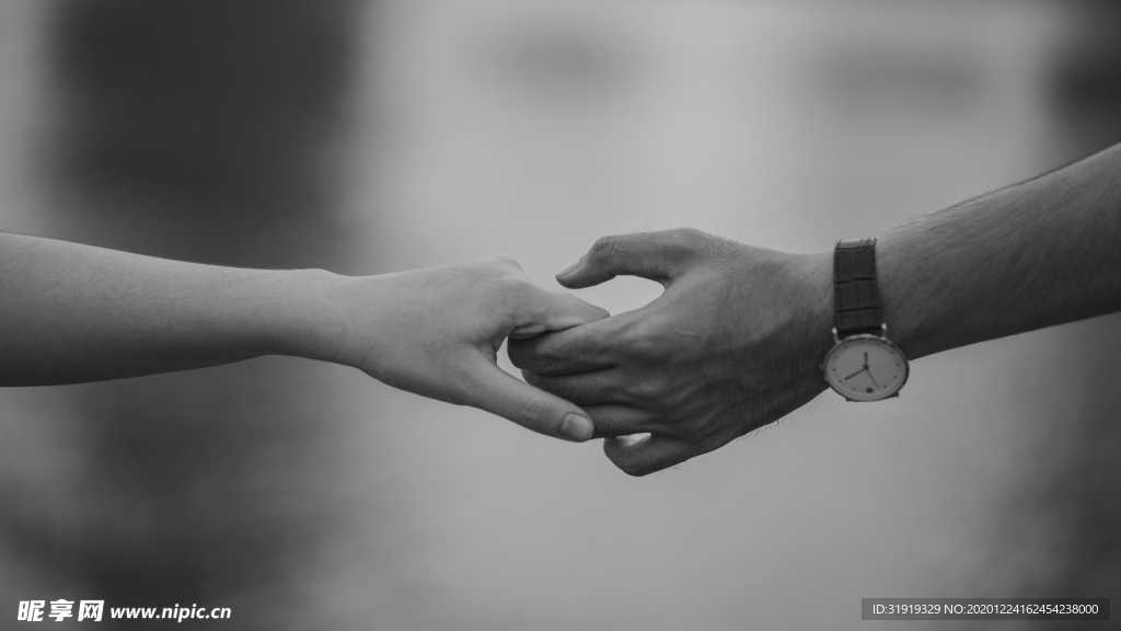 单色 照片 握手