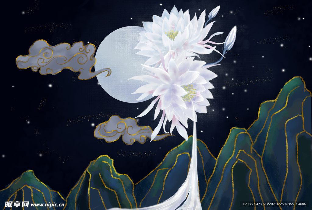 荷花 莲花 背景 夜景