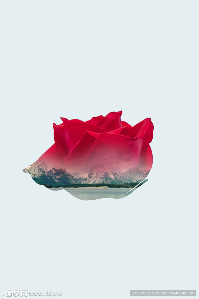 挂画画芯