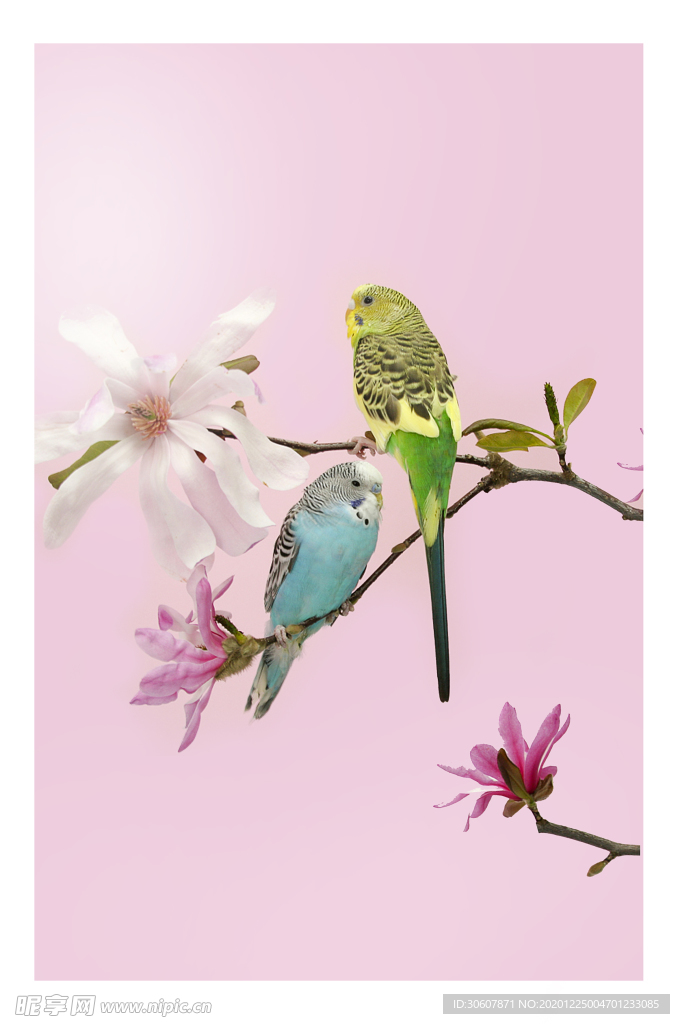 挂画画芯