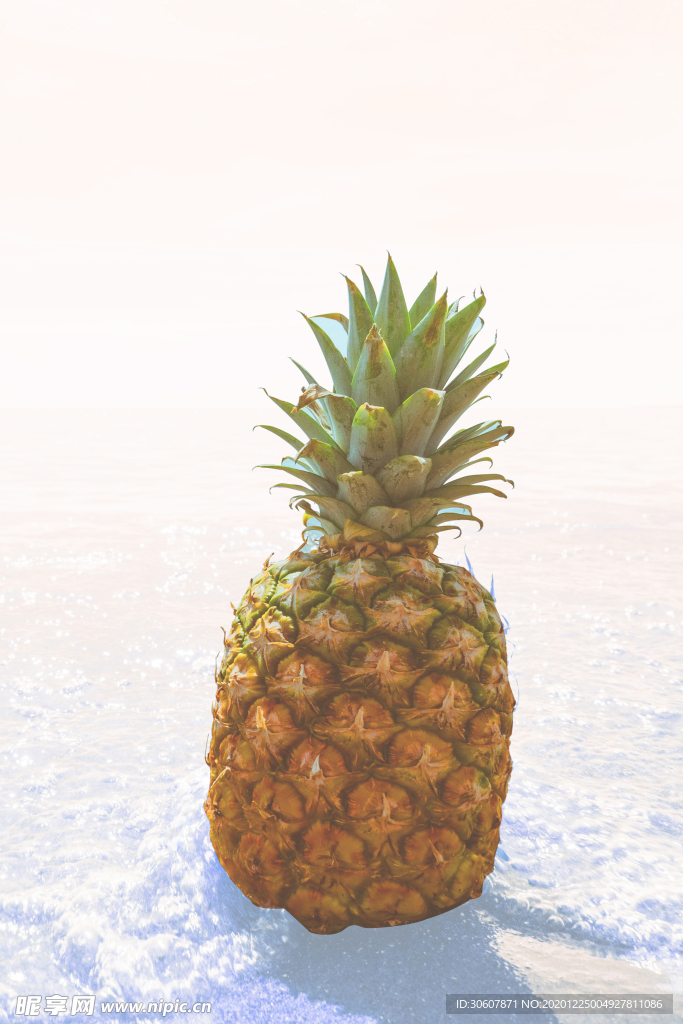 挂画画芯