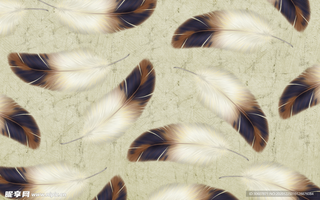 羽毛背景墙