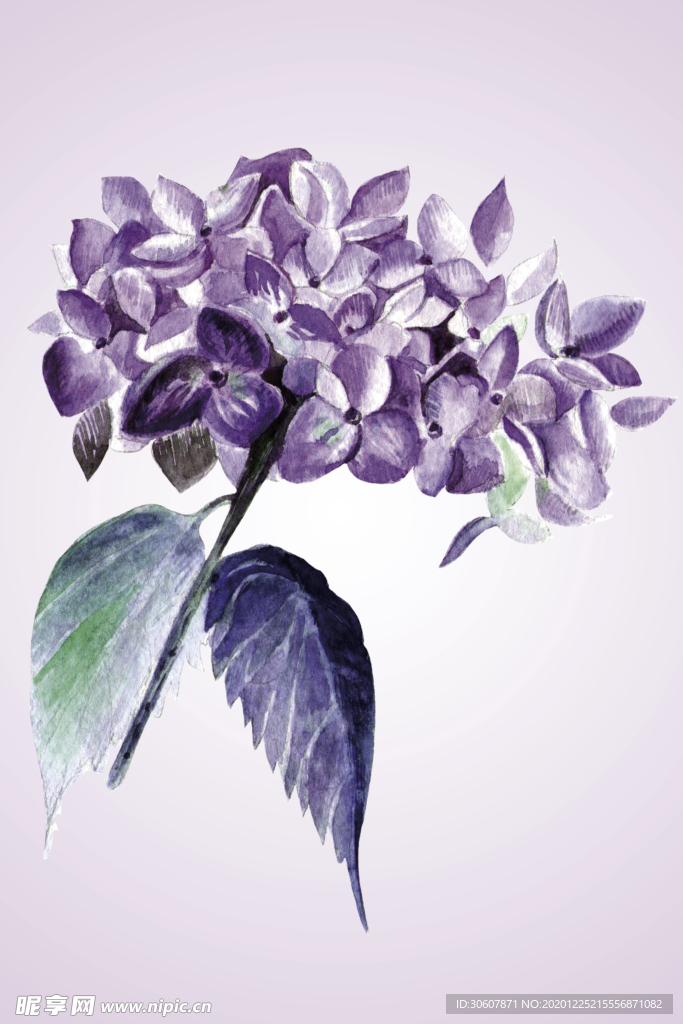 挂画画芯