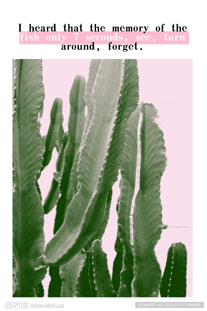 挂画画芯