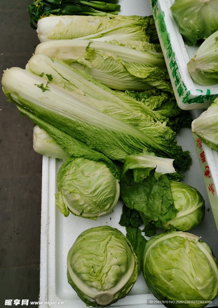 蔬菜