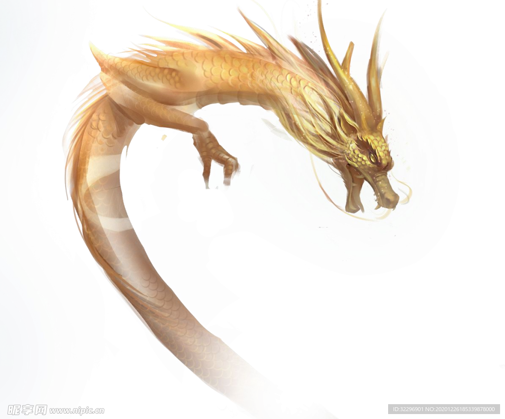 中国风金色龙元素