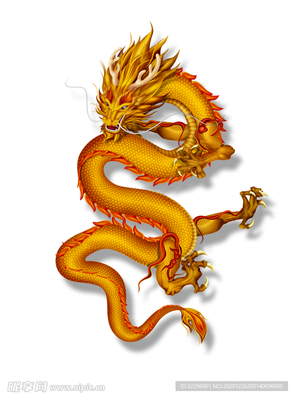 中国风金色龙元素