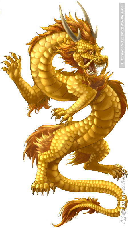 中国风金色龙元素