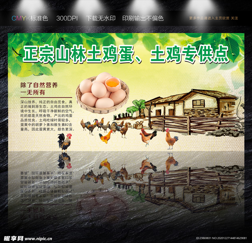 土鸡蛋海报