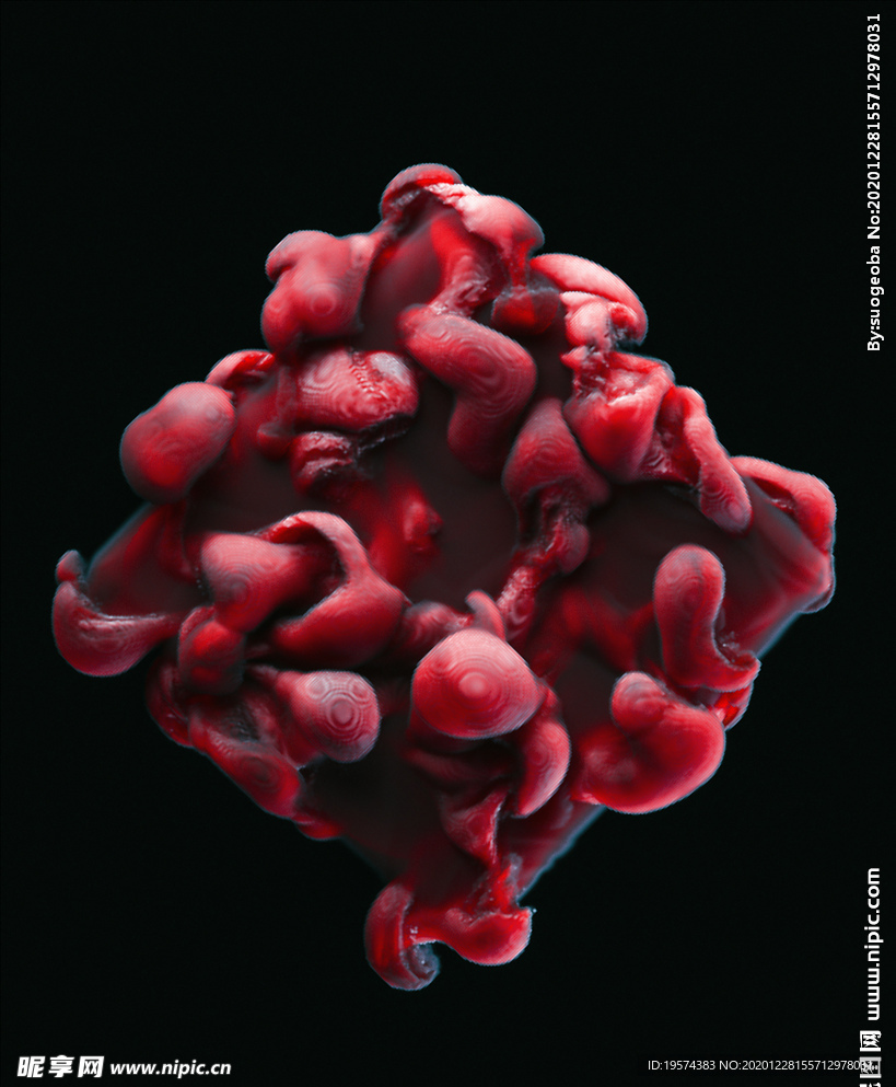 C4D 模型 菌