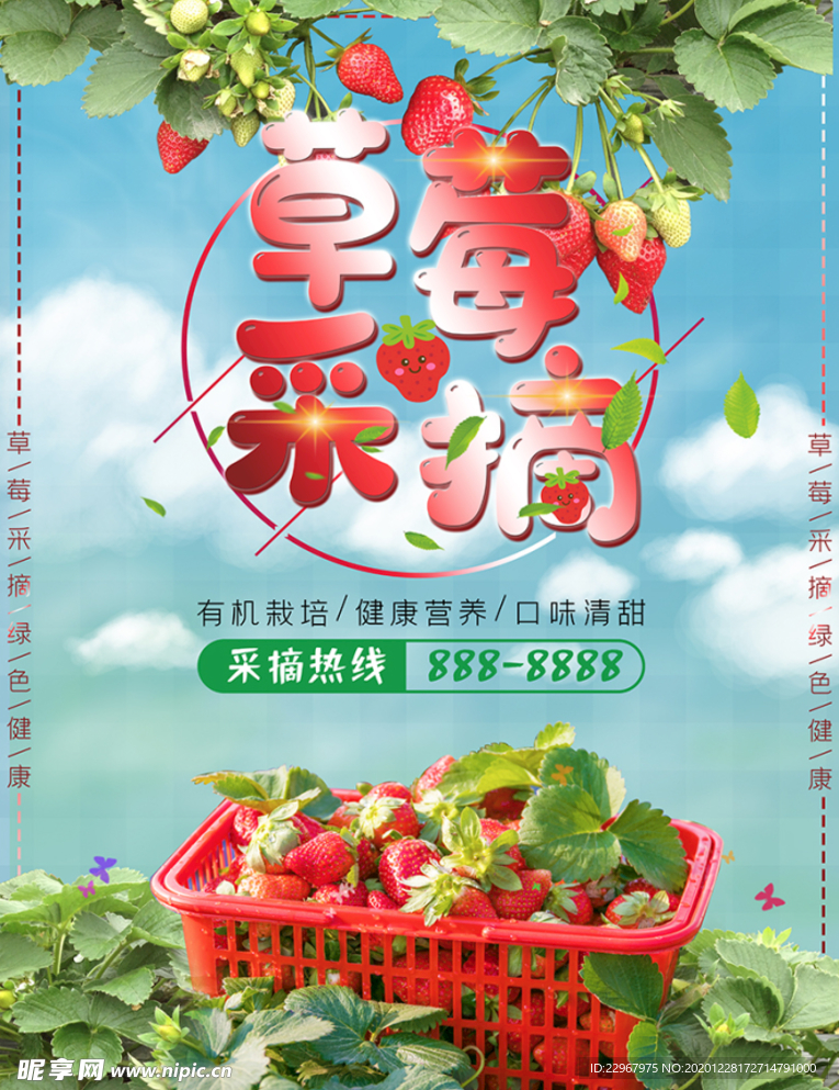 生鲜果蔬草莓采摘水果绿色健康