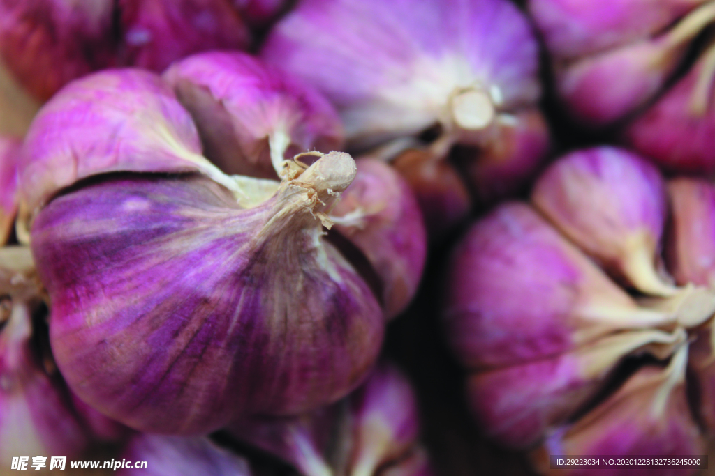 蒜瓣 大蒜 红蒜