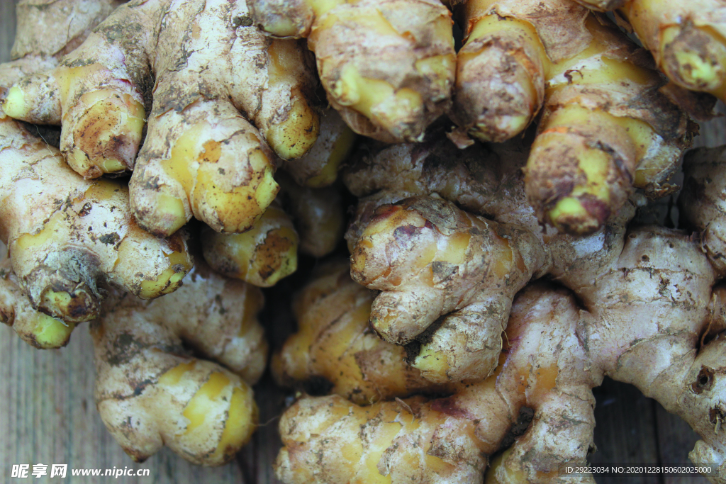 生姜   冬季姜   老姜