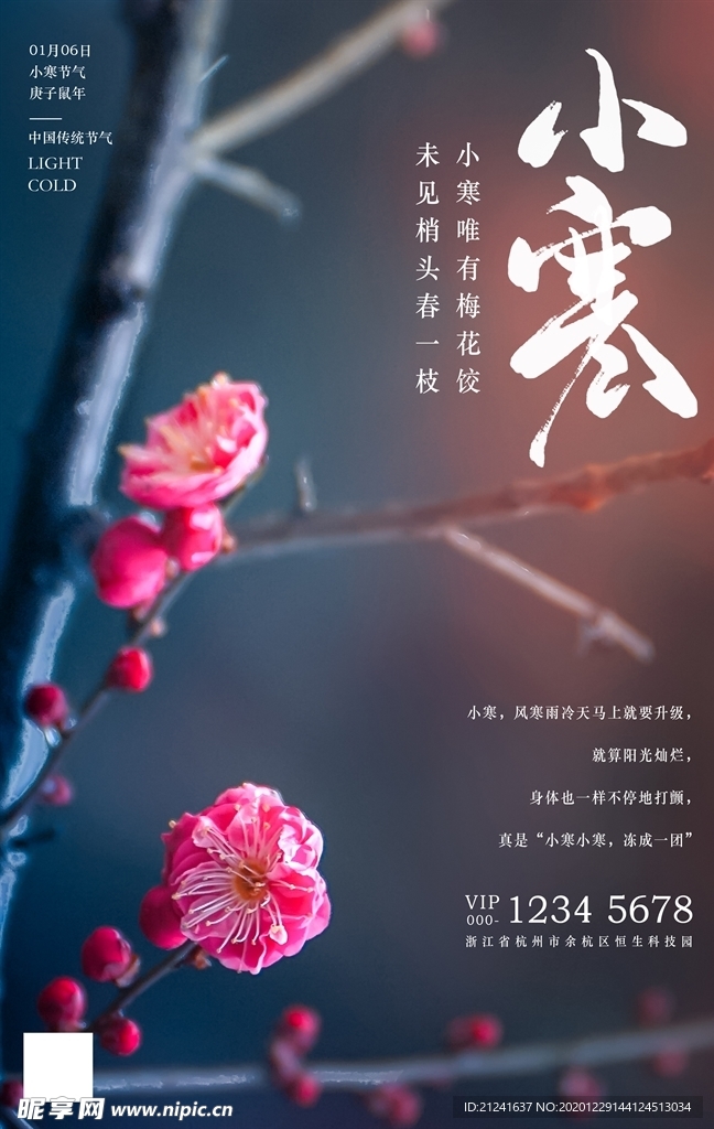 唯美小寒24节气海报