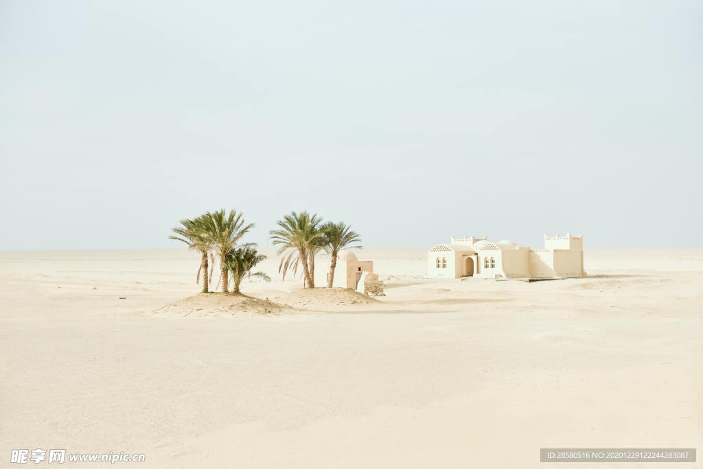 沙漠建筑绿洲