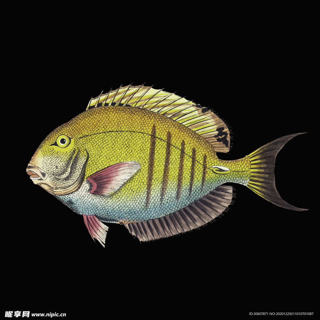 轻奢装饰画