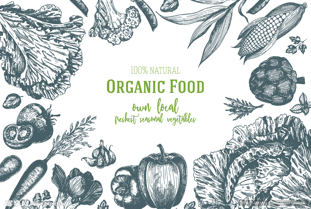 手绘蔬菜