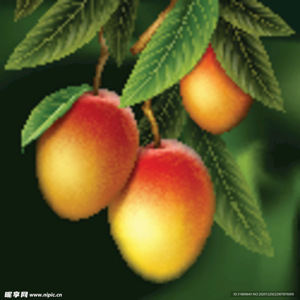 芒果 水果 蔬菜