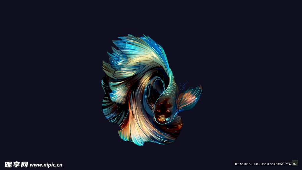 鱼壁纸
