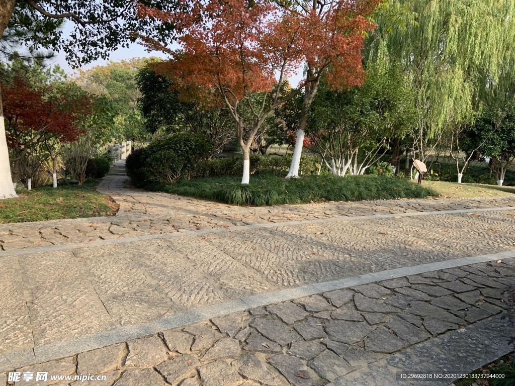 公园风景
