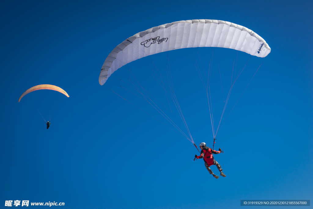 滑翔伞 飞行 空气 天空 运动
