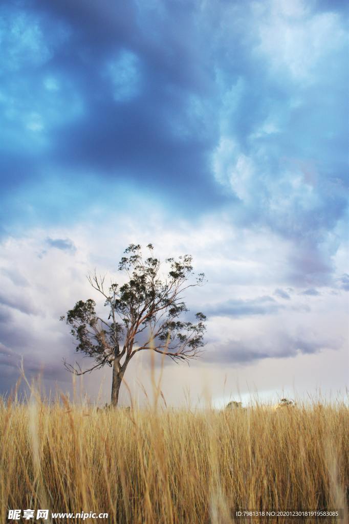 蓝天 白云 蓝天白云 天空 简