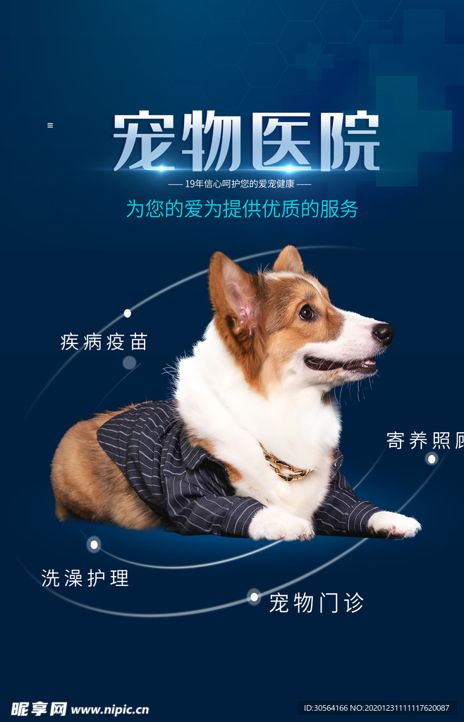 宠物医院活动宣传海报素材