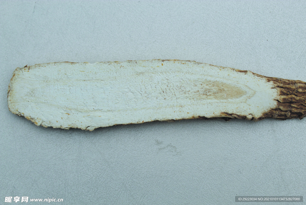 白芷   香料   食物原料