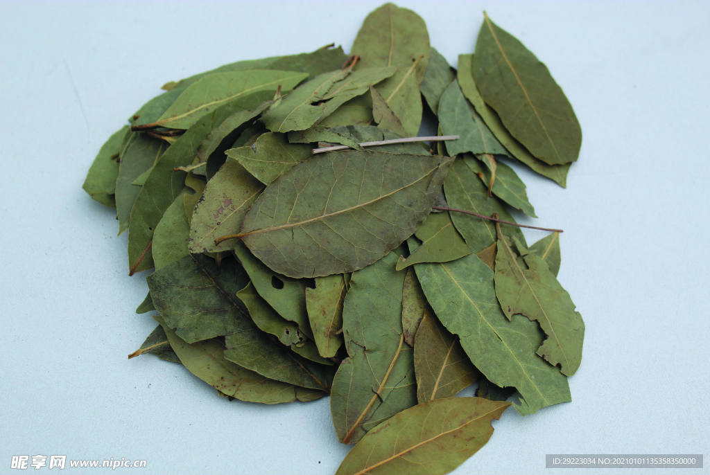 香叶   香料    食物原料