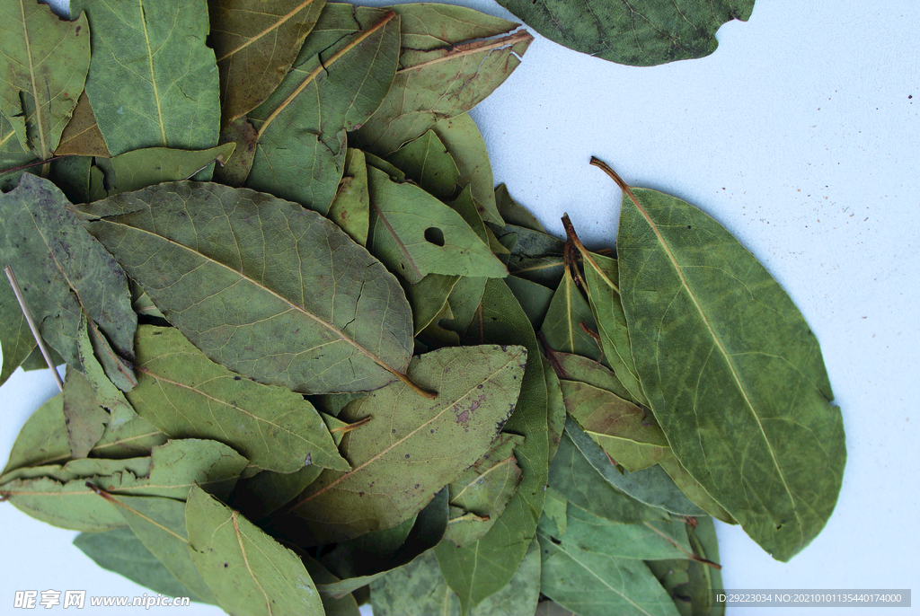 香叶   香料    食物原料